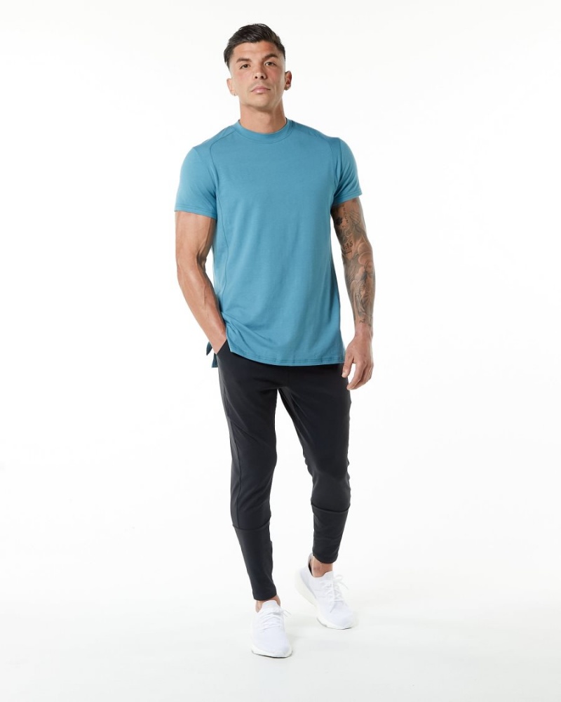 Alphalete Evo Tee Miesten Paidat Sininen | UJPTO-2458