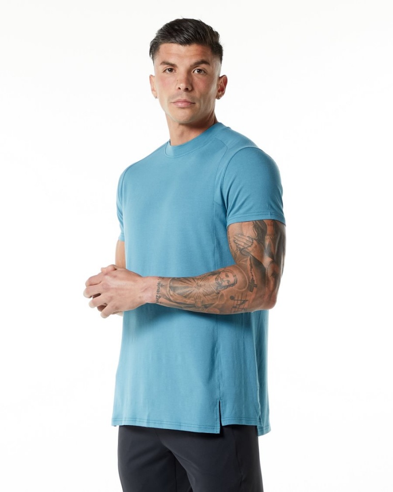 Alphalete Evo Tee Miesten Paidat Sininen | UJPTO-2458