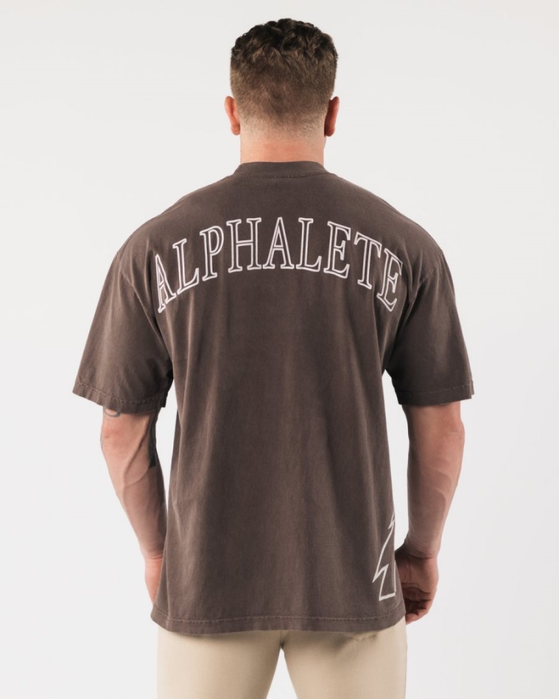 Alphalete Giant Wolf Head Tee Miesten Paidat Clove | JCLQS-6175