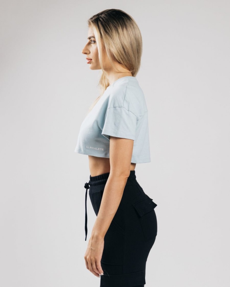 Alphalete Heavy Puuvilla Dropped Shoulder Crop Naisten Paidat Sininen | LXGIU-2831