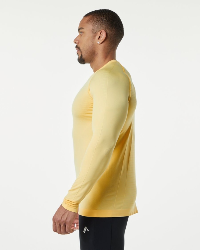 Alphalete Hero Long Sleeve Tee Miesten Paidat Faded Honey | DHIPA-3258