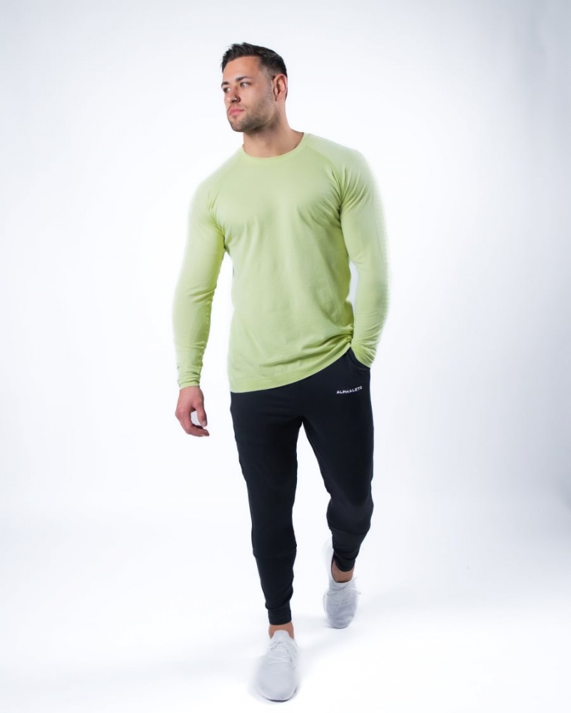 Alphalete Hero Long Sleeve Tee Miesten Paidat Frozen Spring | ELHPC-4389