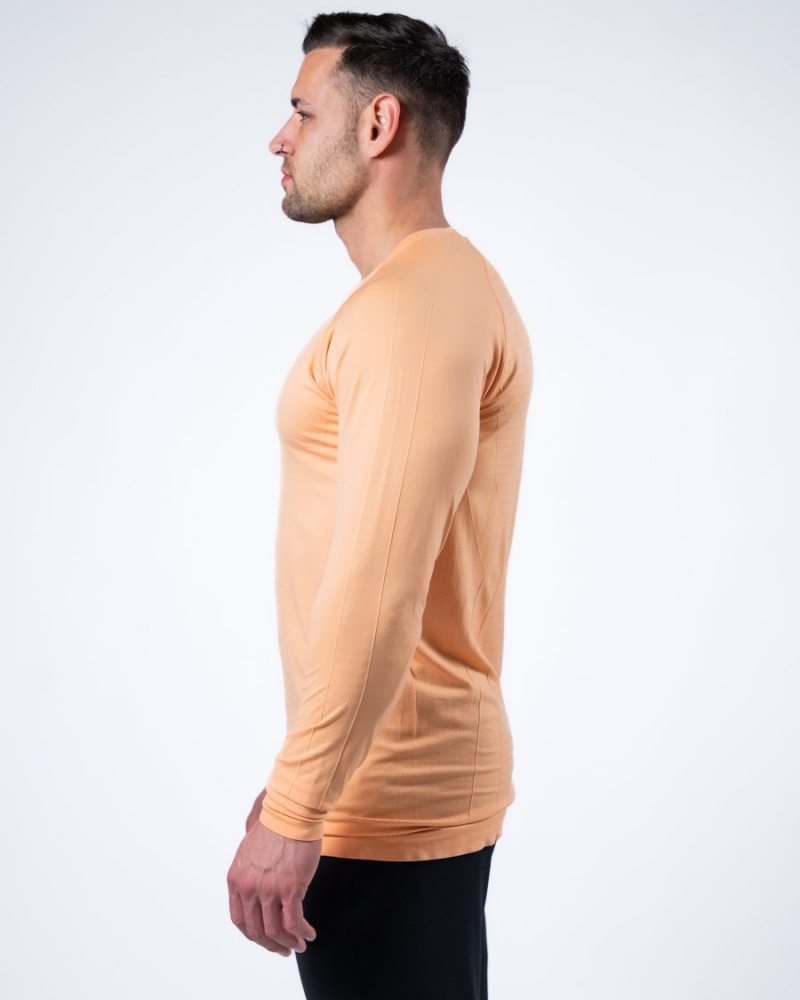 Alphalete Hero Long Sleeve Tee Miesten Paidat Koralli | CIEFK-1596