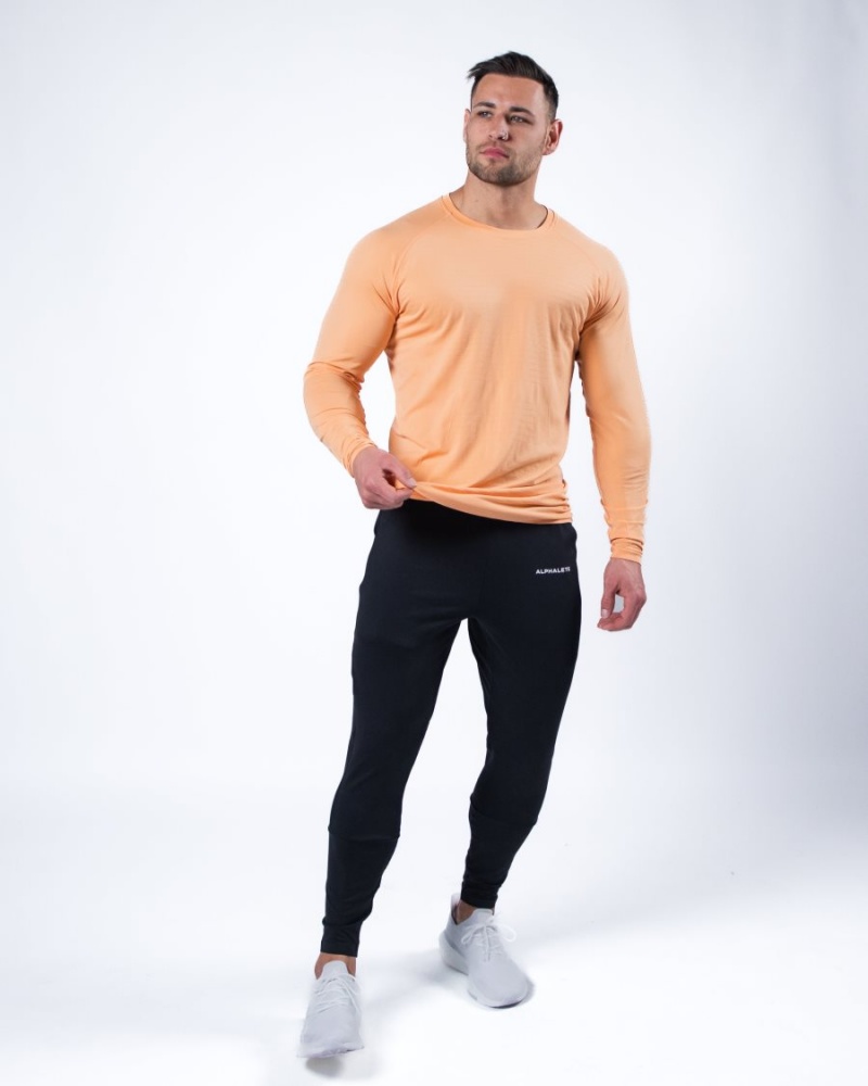 Alphalete Hero Long Sleeve Tee Miesten Paidat Koralli | CIEFK-1596