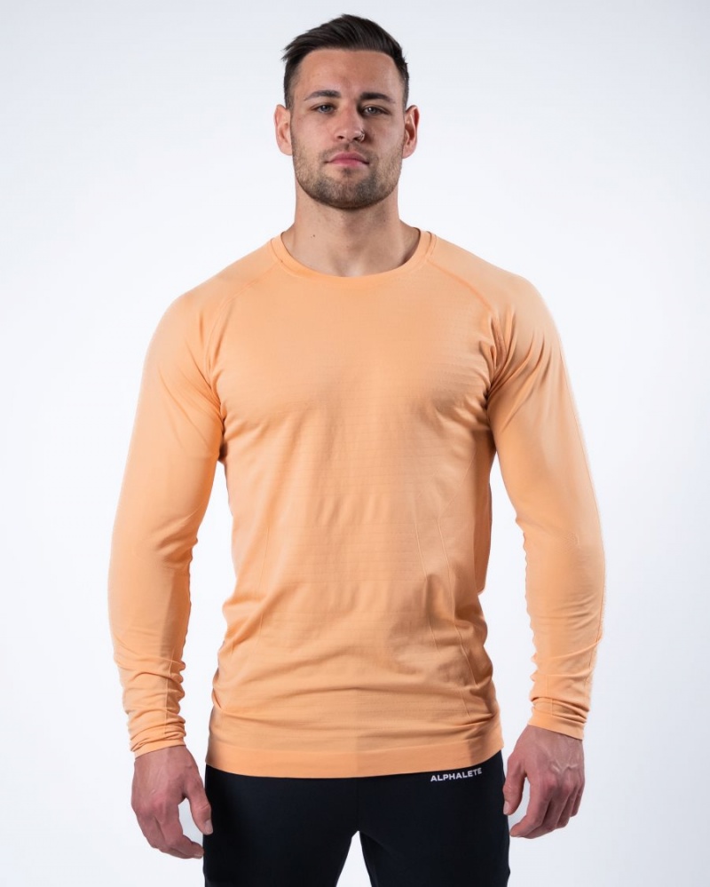 Alphalete Hero Long Sleeve Tee Miesten Paidat Koralli | CIEFK-1596