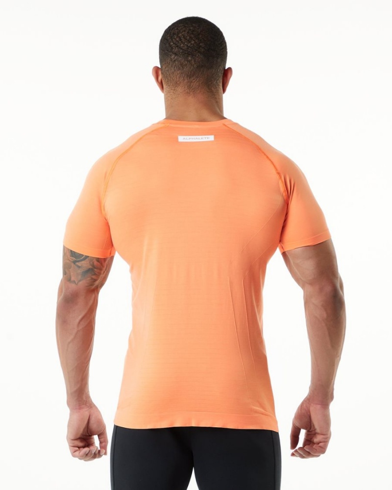 Alphalete Hero Tee Miesten Paidat Faded Day Tripper | UVBOX-1564