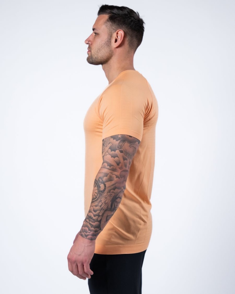 Alphalete Hero Tee Miesten Paidat Koralli | TGENW-3241