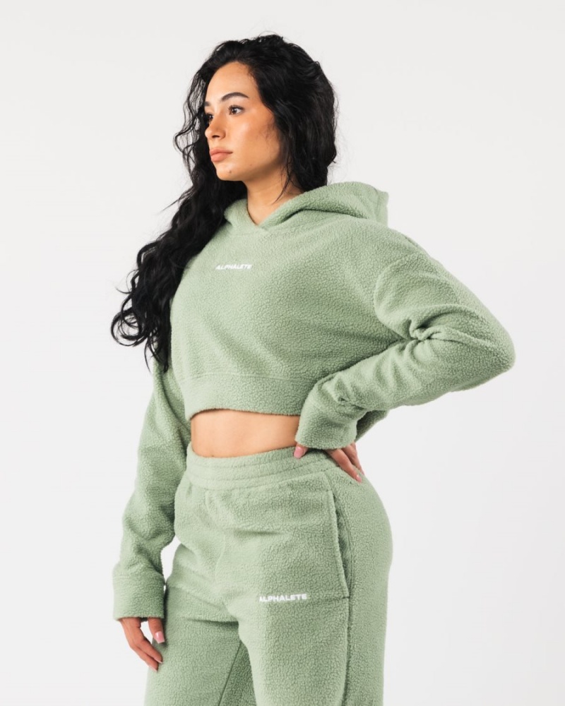 Alphalete King Crop Hoodie Naisten Huppari Sage | IHNVD-3567