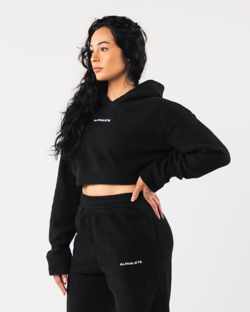 Alphalete King Crop Hoodie Naisten Huppari Mustat | ZPAVC-9720