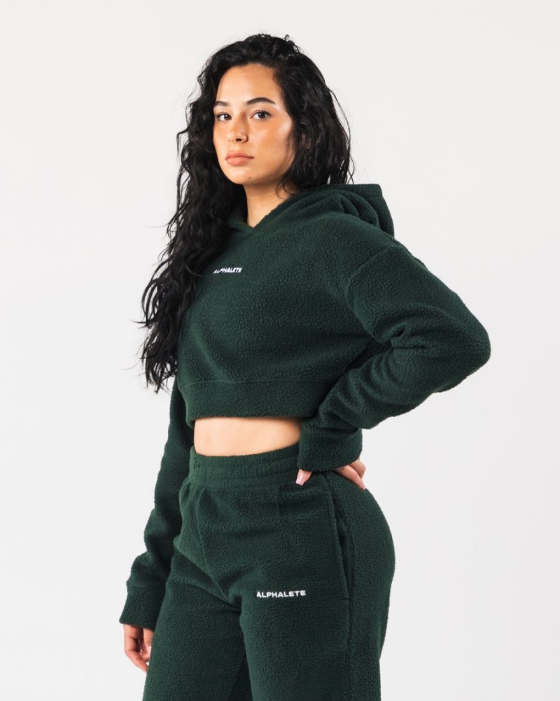 Alphalete King Crop Hoodie Naisten Huppari Evergreen | YIJET-6513