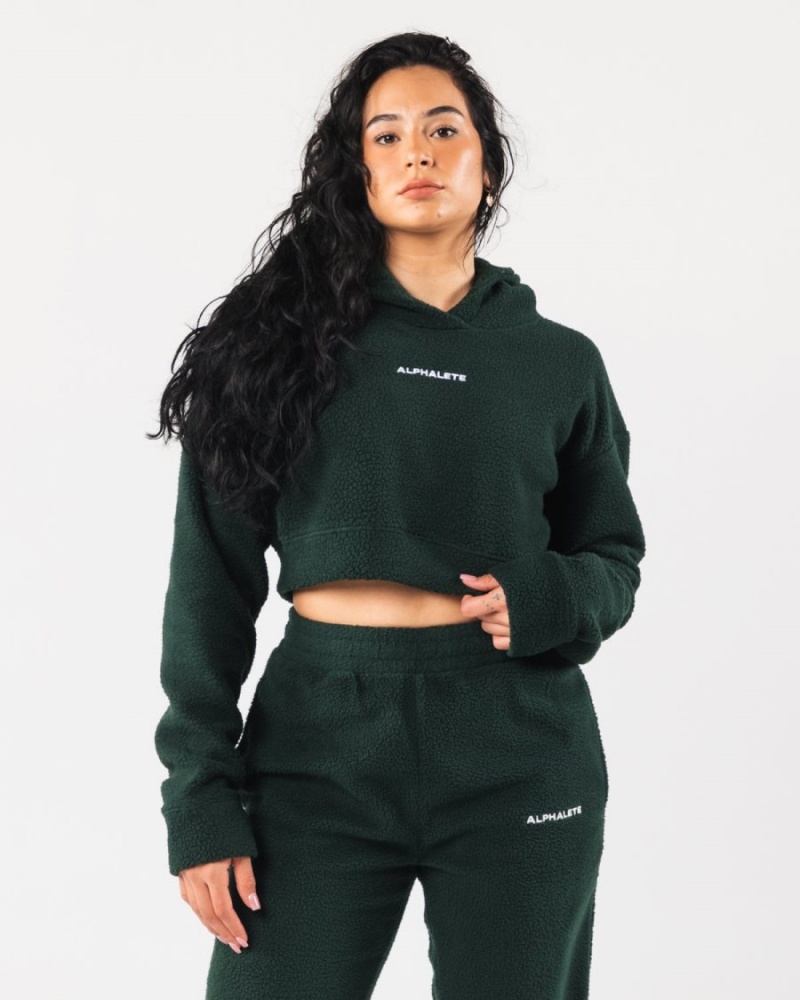 Alphalete King Crop Hoodie Naisten Huppari Evergreen | YIJET-6513