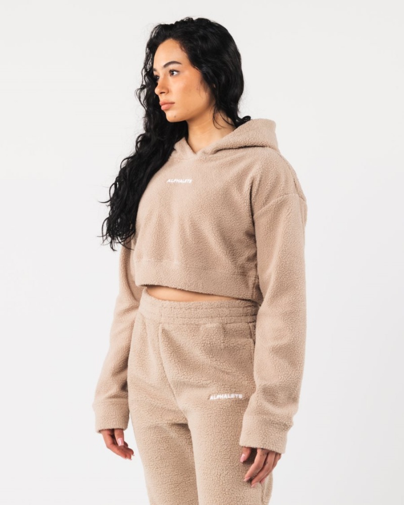 Alphalete King Crop Hoodie Naisten Huppari Linen | PTUKC-8253