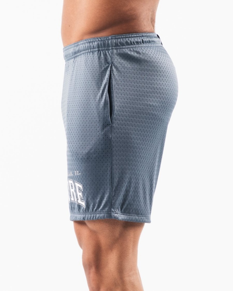 Alphalete LDB More Mesh Lyhyt 6” Miesten Shortsit Sininen | WTVNS-6837