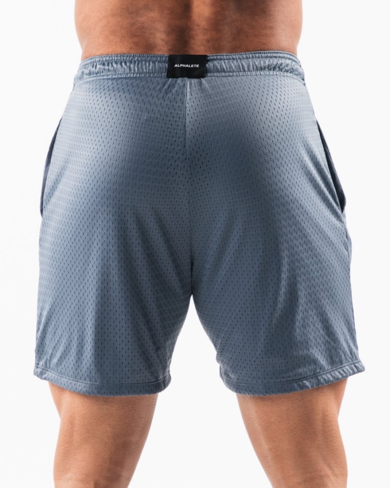 Alphalete LDB More Mesh Lyhyt 6” Miesten Shortsit Sininen | WTVNS-6837