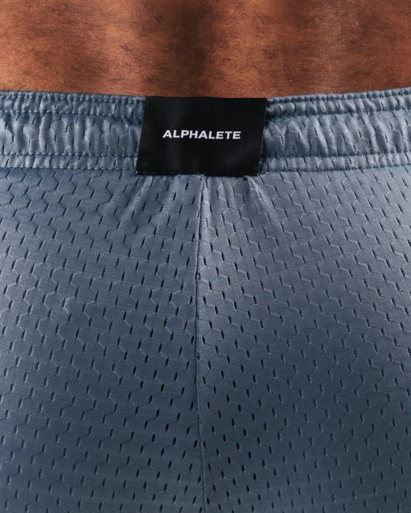 Alphalete LDB More Mesh Lyhyt 6” Miesten Shortsit Sininen | WTVNS-6837