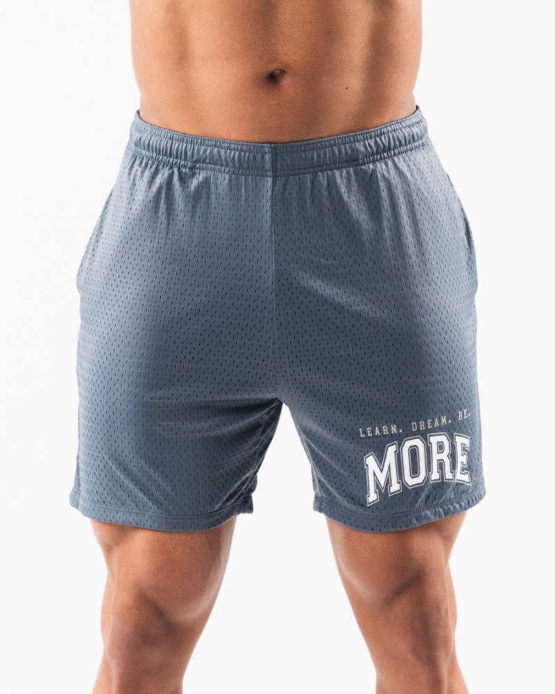 Alphalete LDB More Mesh Lyhyt 6” Miesten Shortsit Sininen | WTVNS-6837