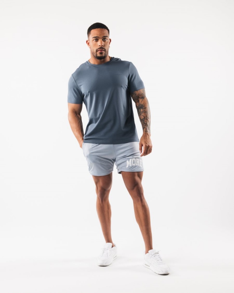 Alphalete LDB More Mesh Lyhyt 6” Miesten Shortsit Sininen | YWFCN-3905