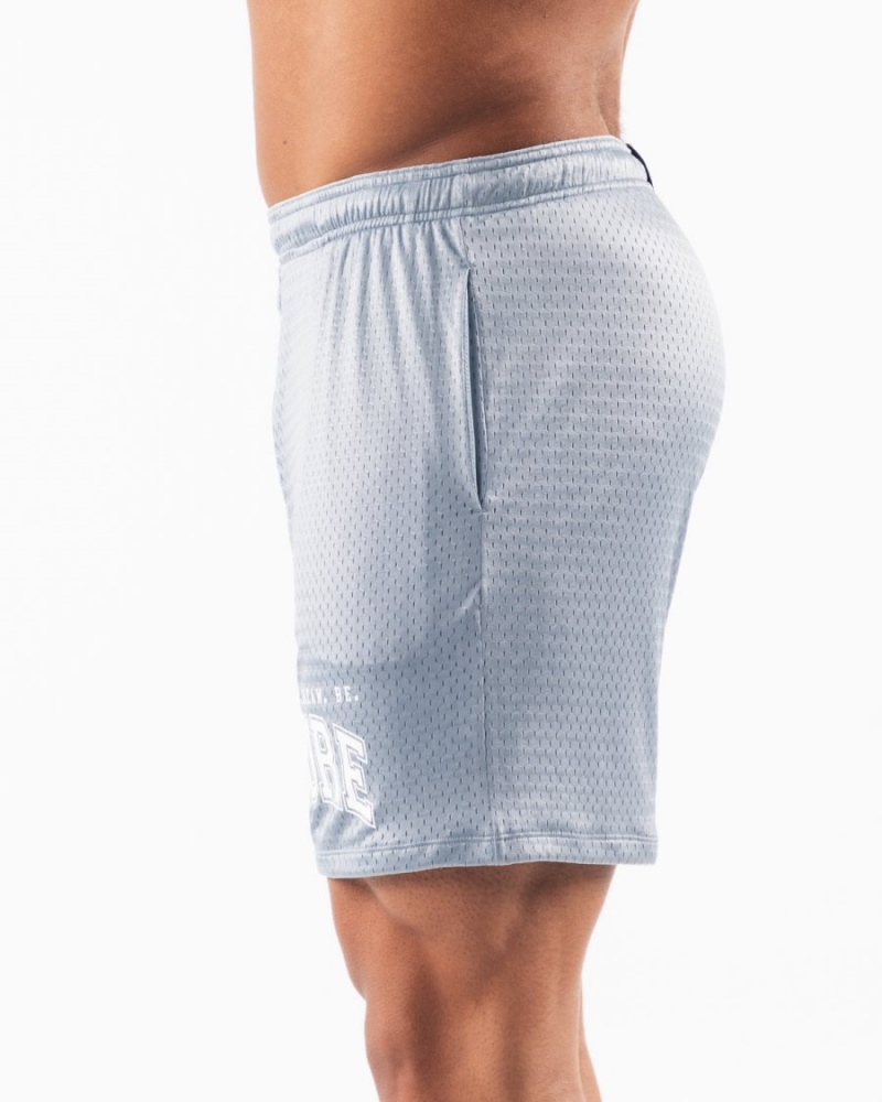 Alphalete LDB More Mesh Lyhyt 6” Miesten Shortsit Sininen | YWFCN-3905