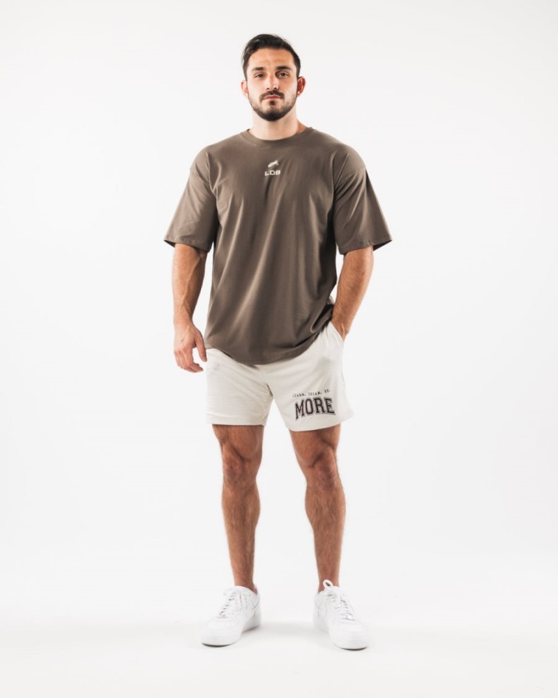 Alphalete LDB More Mesh Lyhyt 6" Miesten Shortsit Sea Shell | BAKHT-7598