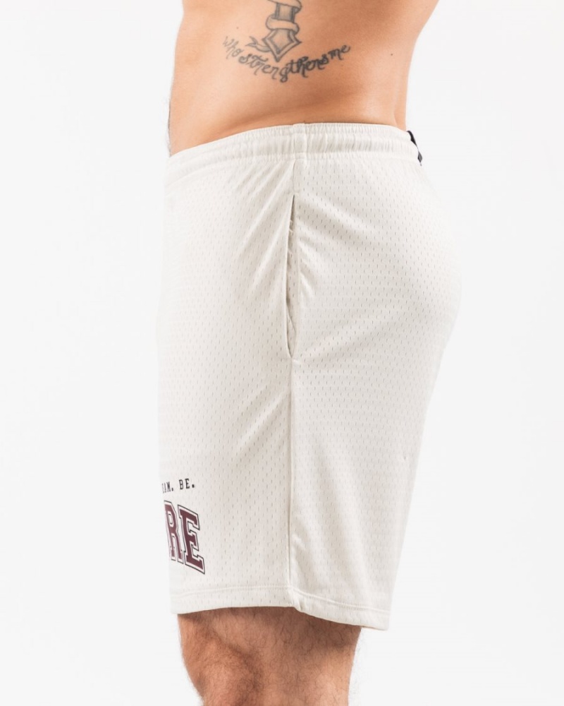 Alphalete LDB More Mesh Lyhyt 6" Miesten Shortsit Sea Shell | BAKHT-7598