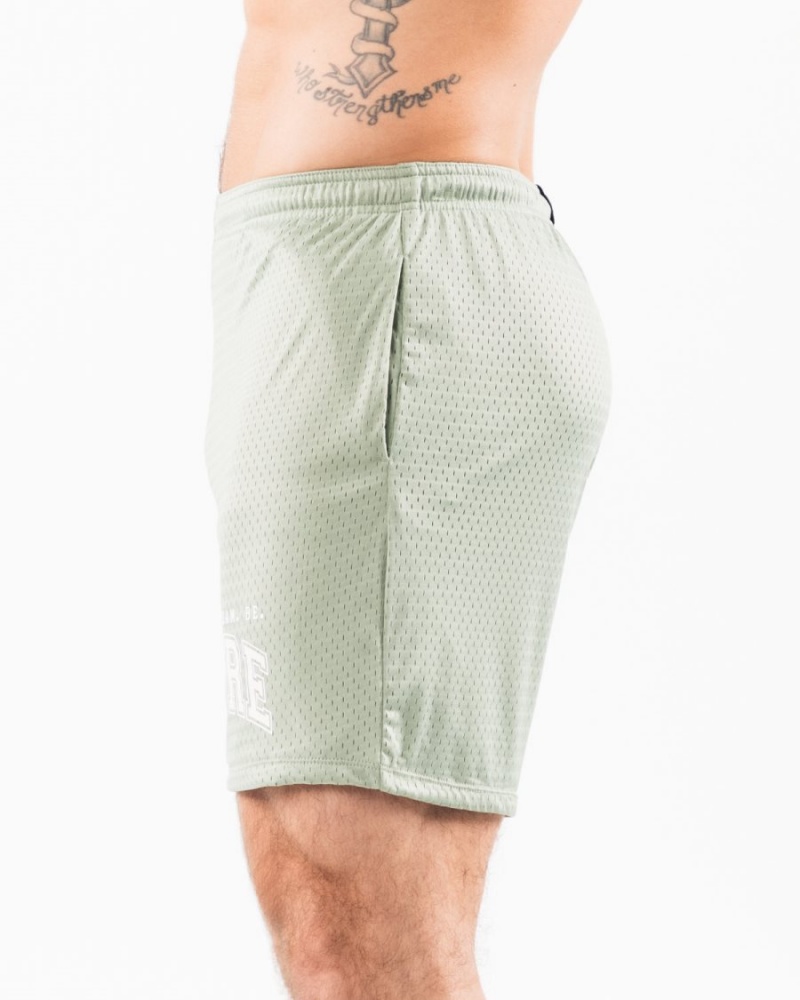 Alphalete LDB More Mesh Lyhyt 6" Miesten Shortsit Sage | AJPOI-7829