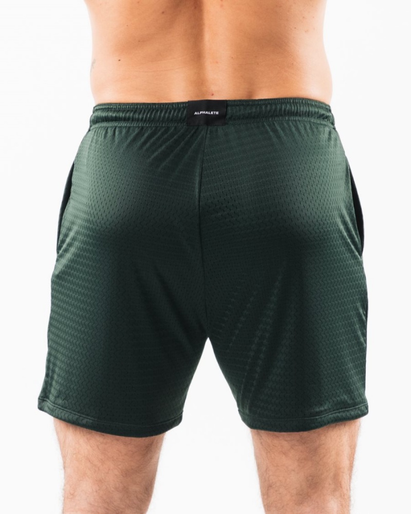 Alphalete LDB More Mesh Lyhyt 6" Miesten Shortsit Evergreen | BRVSX-4823