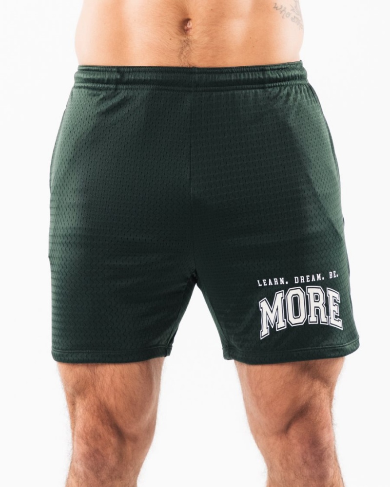 Alphalete LDB More Mesh Lyhyt 6" Miesten Shortsit Evergreen | BRVSX-4823