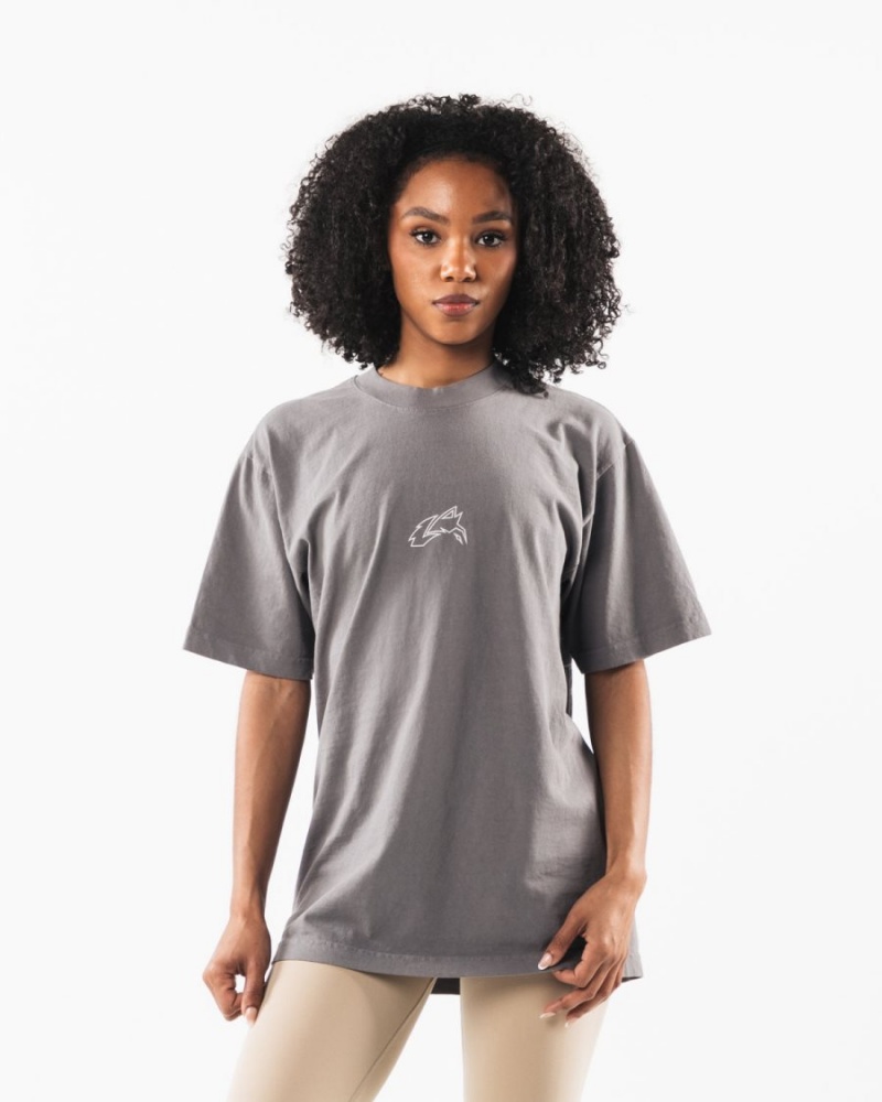 Alphalete LDB Outline Tee Miesten Paidat Charcoal | OCELV-5249