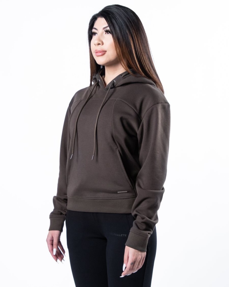 Alphalete Monarch Hoodie Naisten Huppari Tummanruskea | BNVUS-6284