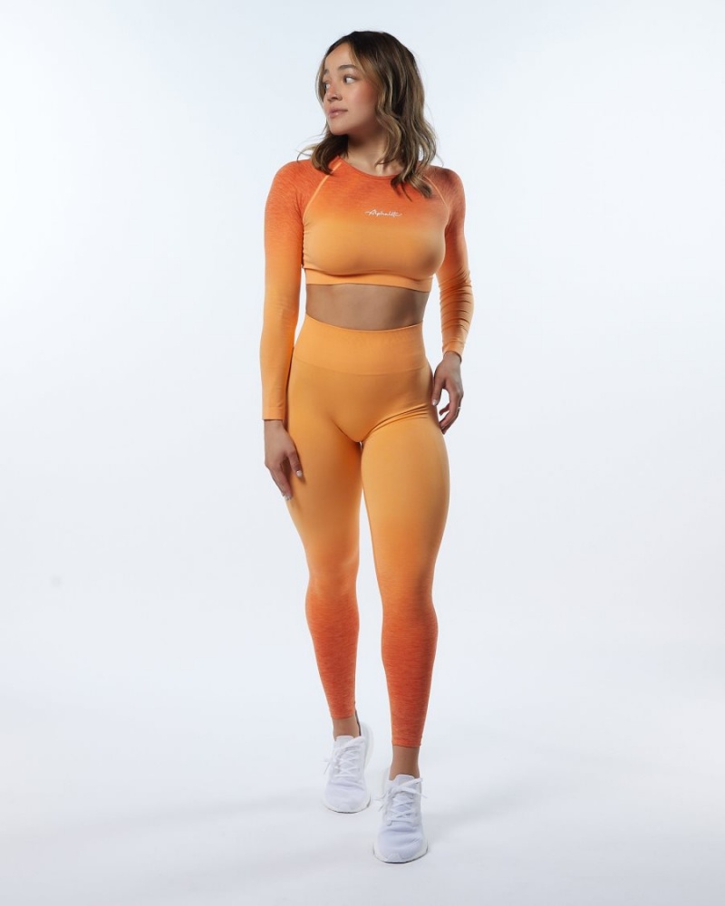 Alphalete Ombre Amplify LS Crop Naisten Pitkähihainen Day Tripper | EGKOR-7309