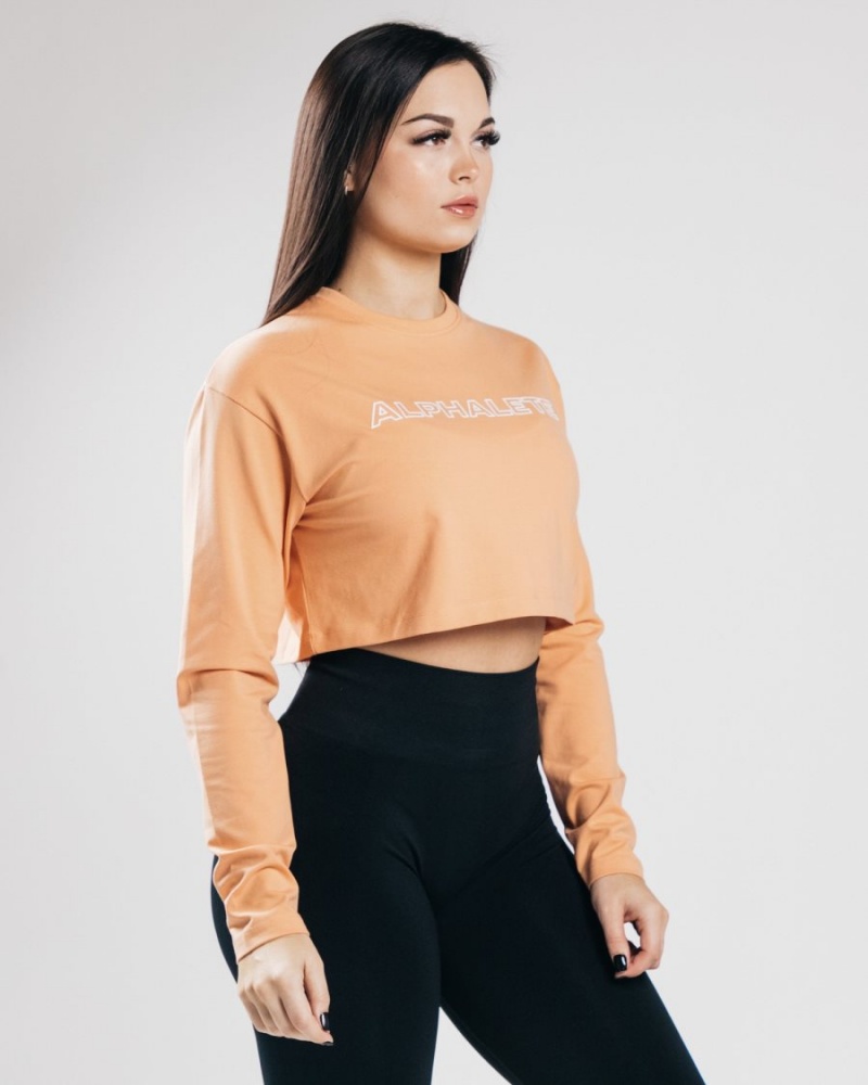 Alphalete Outlined Long Sleeve Crop Naisten Pitkähihainen Oranssi | DWPLJ-7051