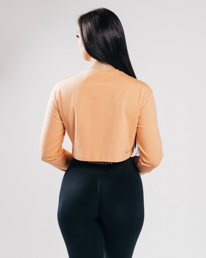 Alphalete Outlined Long Sleeve Crop Naisten Pitkähihainen Oranssi | DWPLJ-7051