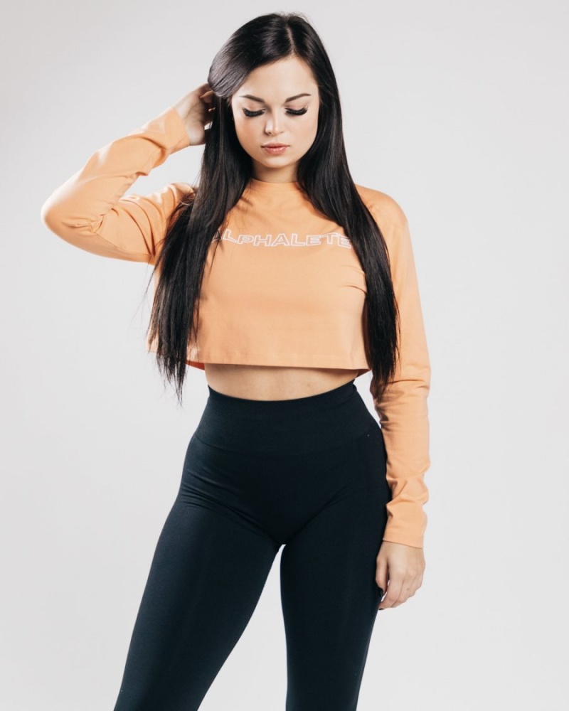 Alphalete Outlined Long Sleeve Crop Naisten Pitkähihainen Oranssi | DWPLJ-7051