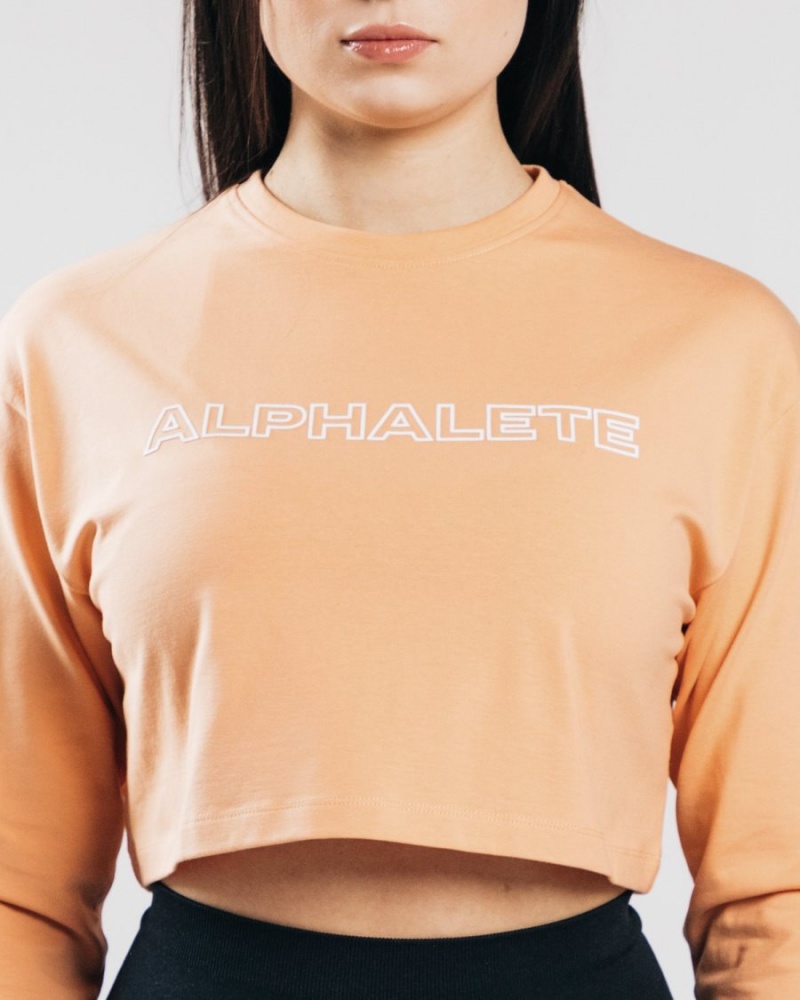 Alphalete Outlined Long Sleeve Crop Naisten Pitkähihainen Oranssi | DWPLJ-7051