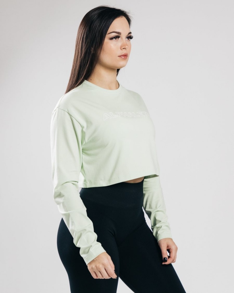 Alphalete Outlined Long Sleeve Crop Naisten Pitkähihainen Frozen Spring | WOPHV-0758