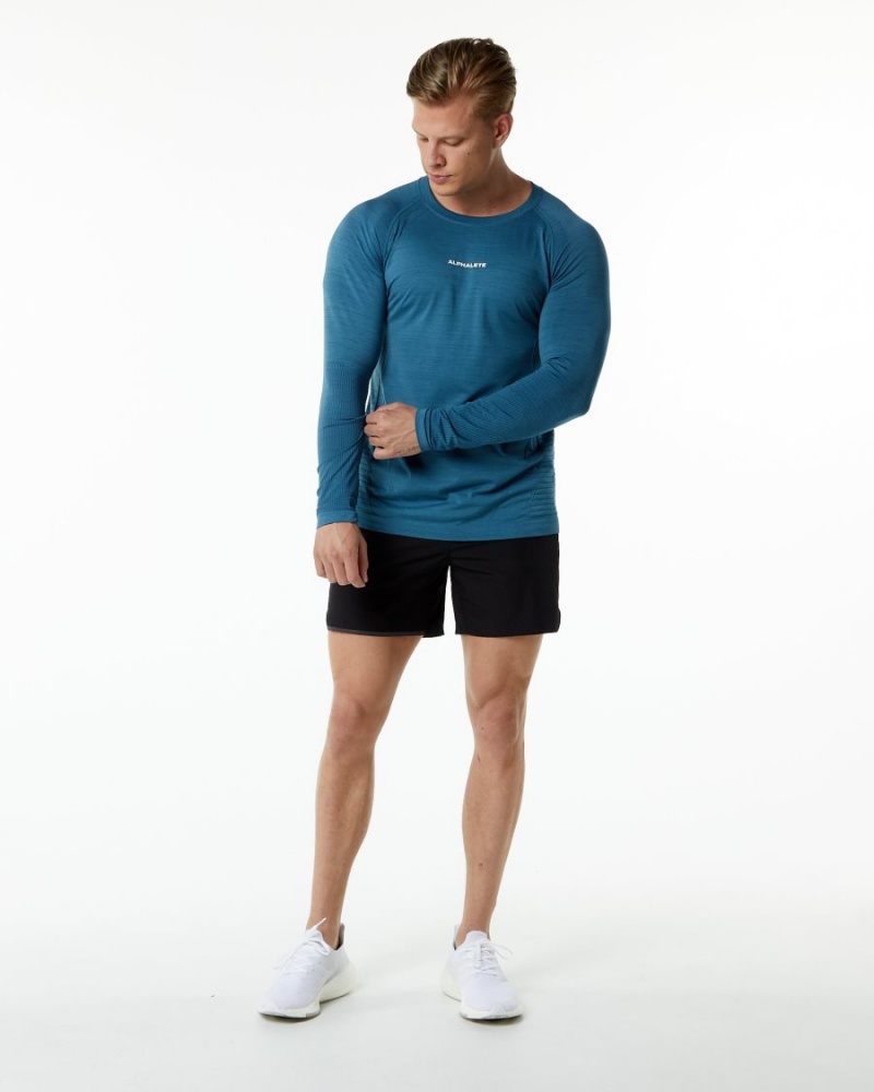 Alphalete Ozone LS Tee Miesten Paidat Sininen | EOMKW-3729