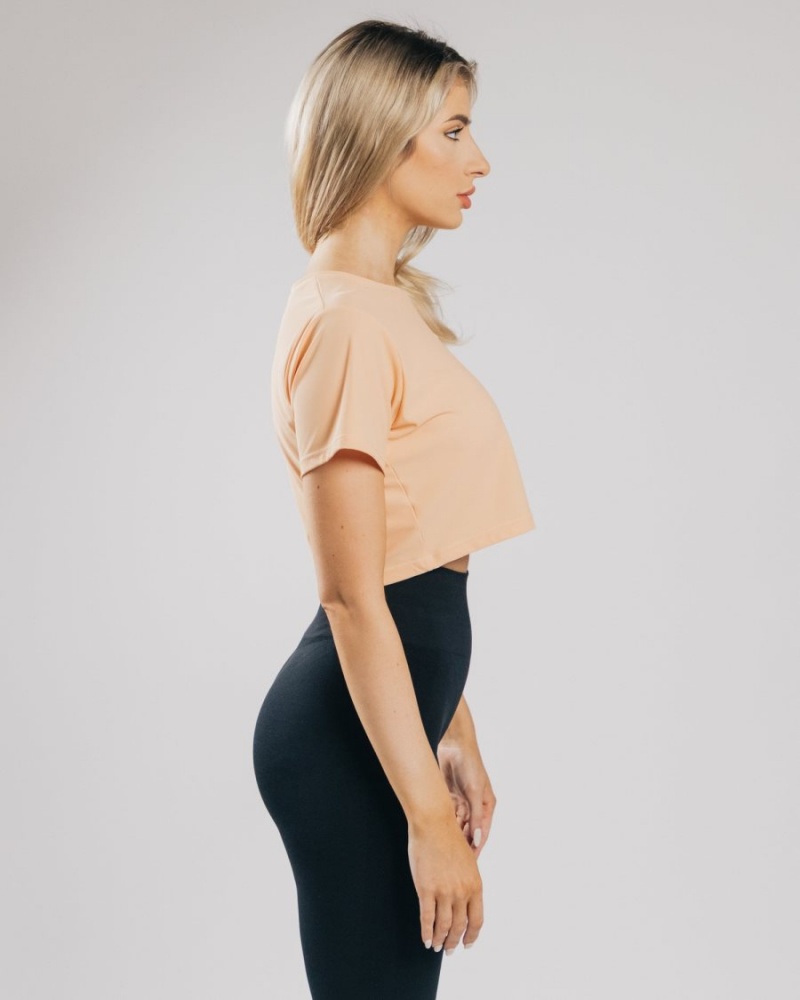 Alphalete Signature Mesh Crop Naisten Paidat Oranssi | VNICW-5143