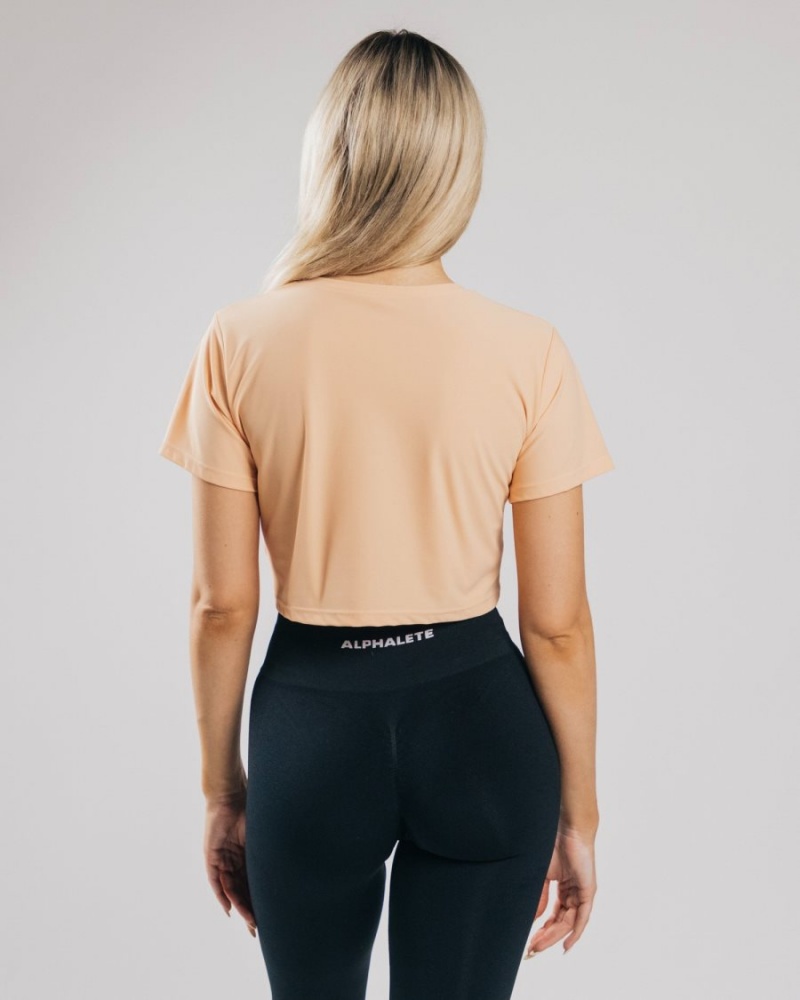 Alphalete Signature Mesh Crop Naisten Paidat Oranssi | VNICW-5143