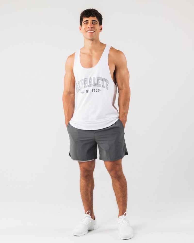 Alphalete Studio Lyhyt 6" Miesten Shortsit Smoke | VWSBR-2509