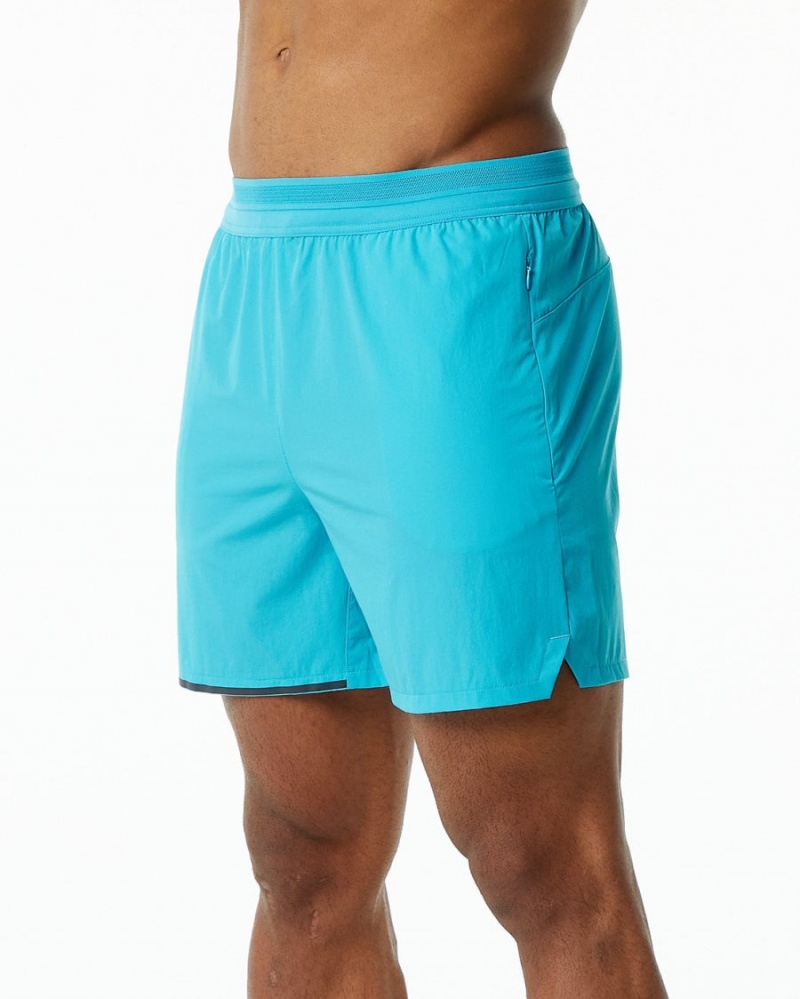 Alphalete Studio Lyhyt 6" Miesten Shortsit Sininen | SGPIR-0862