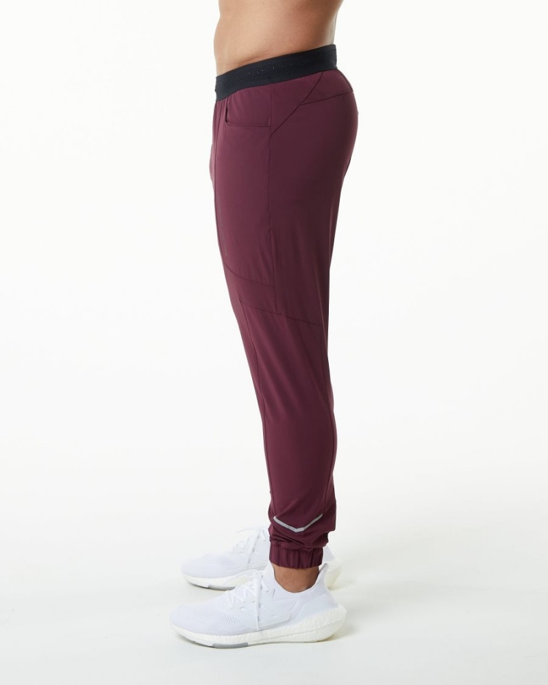 Alphalete Studio Pant Miesten Juoksuvaatteet Viininpunainen | VAGKY-6049