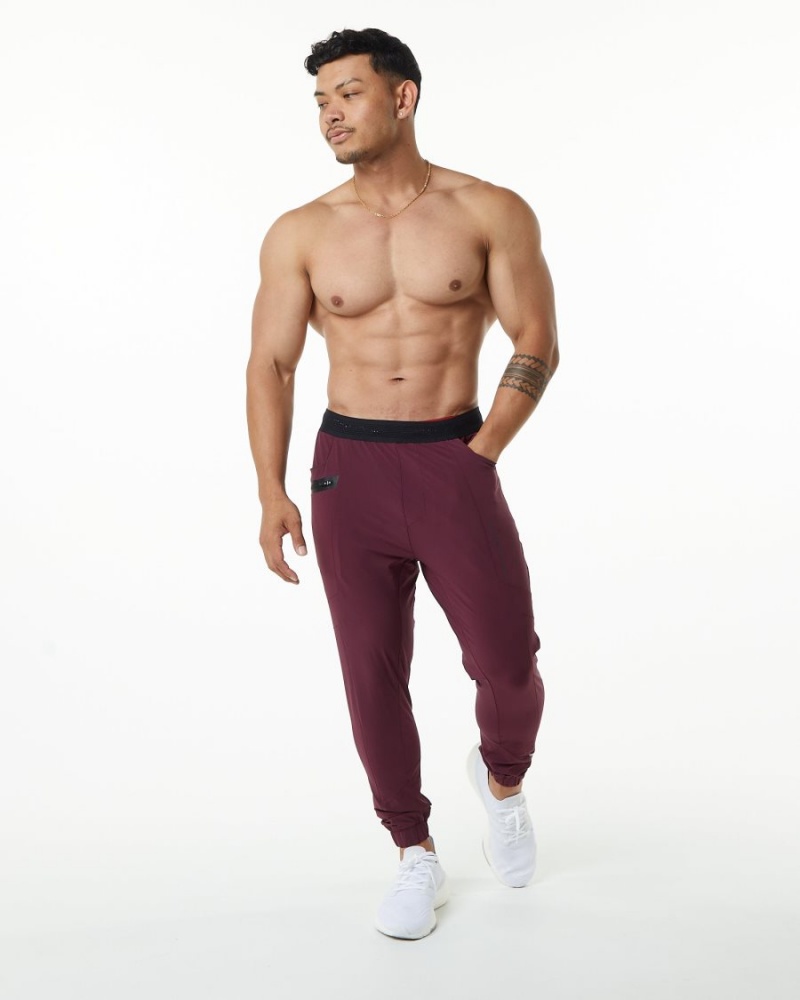 Alphalete Studio Pant Miesten Juoksuvaatteet Viininpunainen | VAGKY-6049