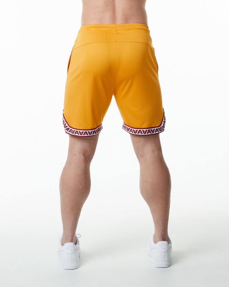 Alphalete Varsity Basketball Lyhyt 9" Miesten Shortsit Marigold | KRAEY-2574