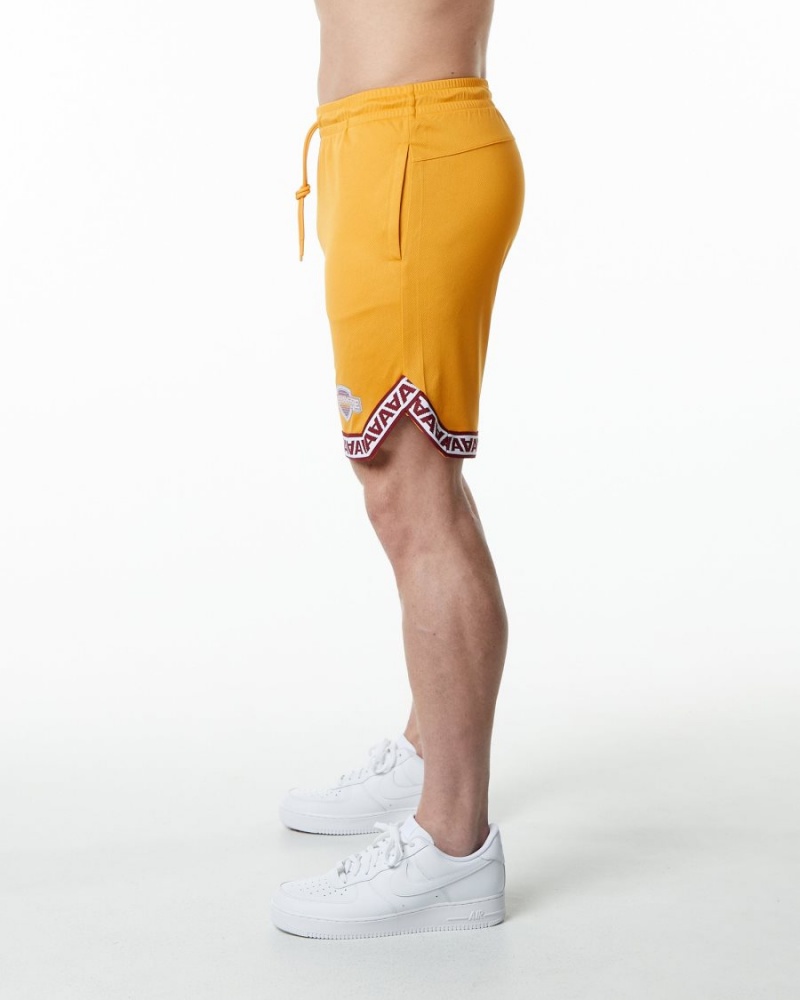 Alphalete Varsity Basketball Lyhyt 9" Miesten Shortsit Marigold | KRAEY-2574