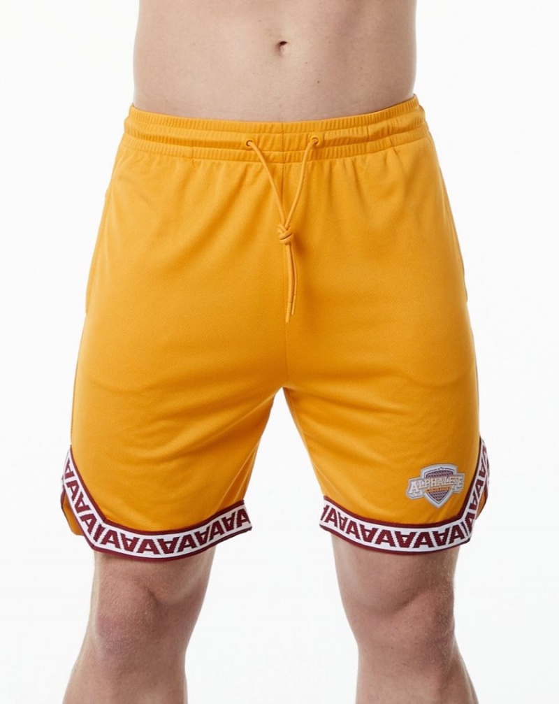 Alphalete Varsity Basketball Lyhyt 9" Miesten Shortsit Marigold | KRAEY-2574