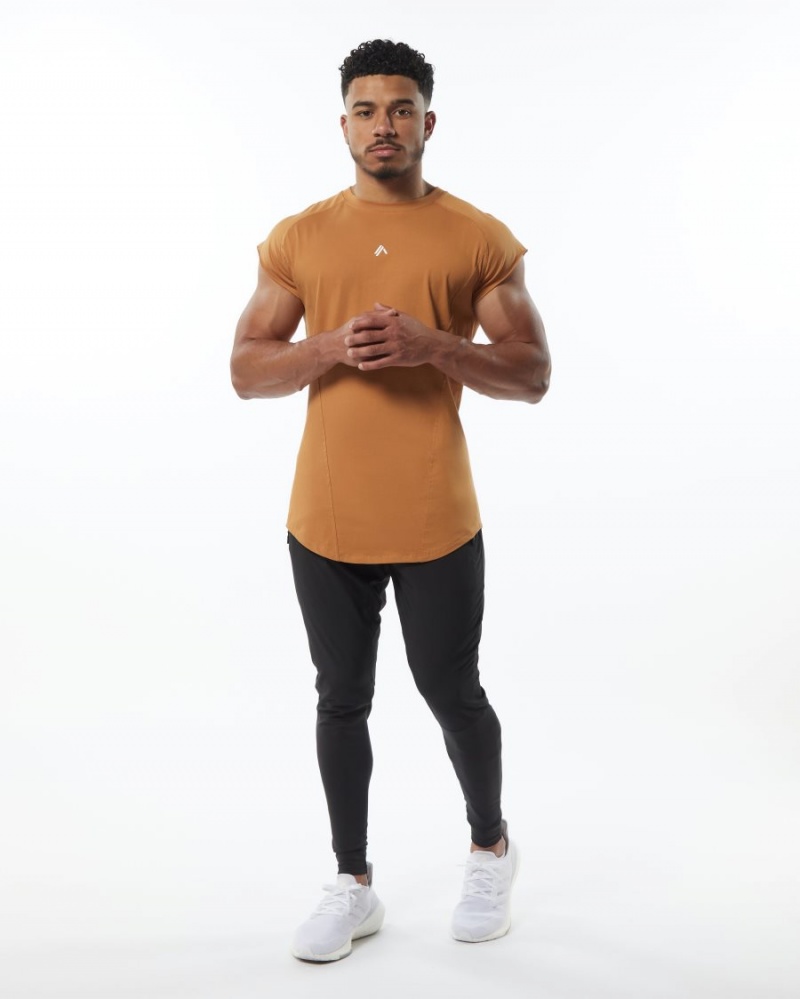 Alphalete Velocity Hihattomat Tee Miesten Stringers Chestnut | KMPUL-1796