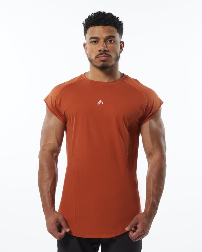 Alphalete Velocity Hihattomat Tee Miesten Stringers Sour Tangerine | BYPWE-5316