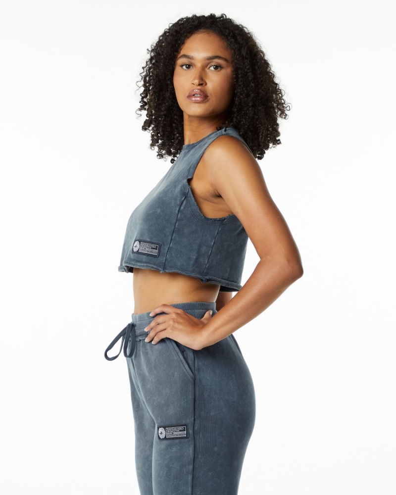 Alphalete Very Terry Crop Cutoff Naisten Hihaton Paita Sininen | SRNLB-9635