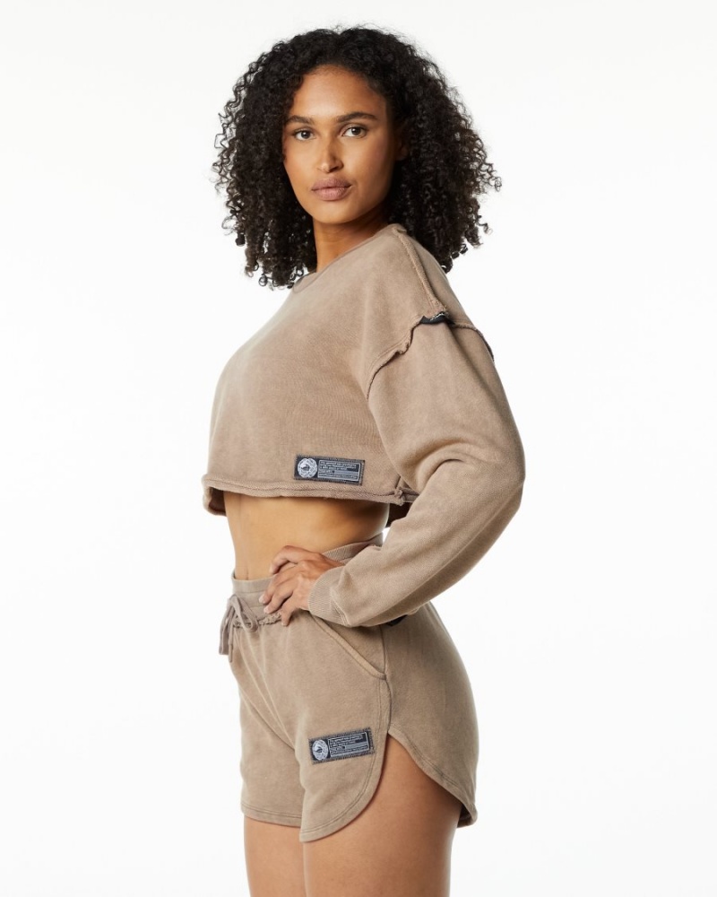 Alphalete Very Terry Crop Pullover Naisten Takit Smokey Quartz | KUSNZ-8397