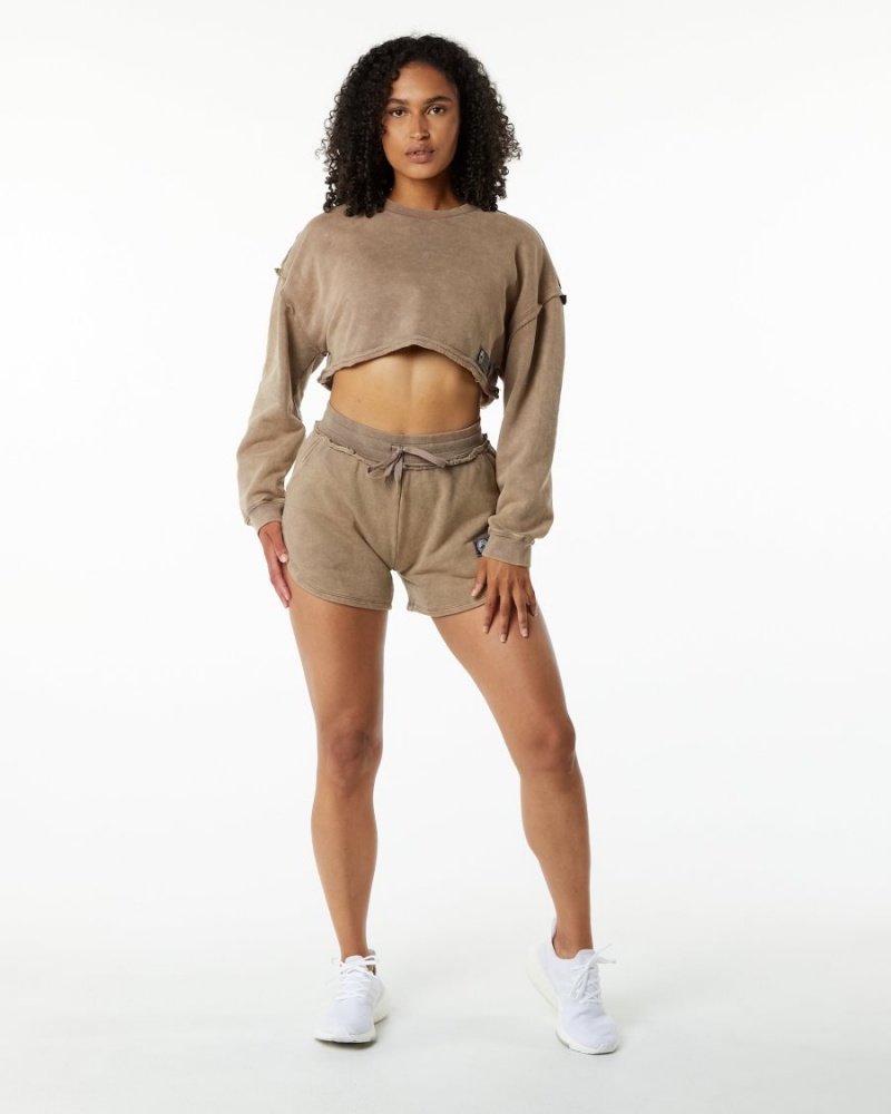 Alphalete Very Terry Crop Pullover Naisten Takit Smokey Quartz | KUSNZ-8397